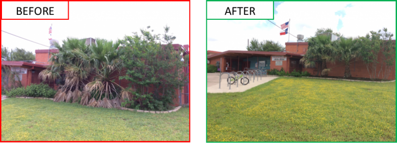 sims elementary before after front view