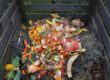food scraps in an outdoor compost bin