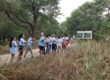 Keep Austin Beautiful Clean Creek Campus students throwing seedballs into tall grass