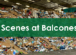 Behind the Scenes at Balcones Recycling