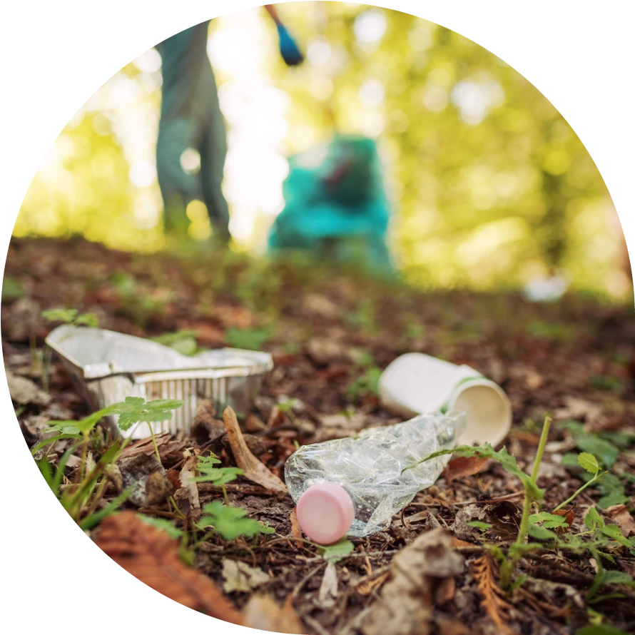 Close-up of three pieces of trash lying on a grassy forest floor.