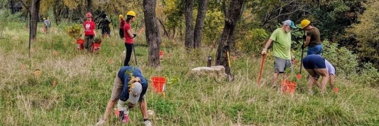 Group of volunteers working on a tree planting project.