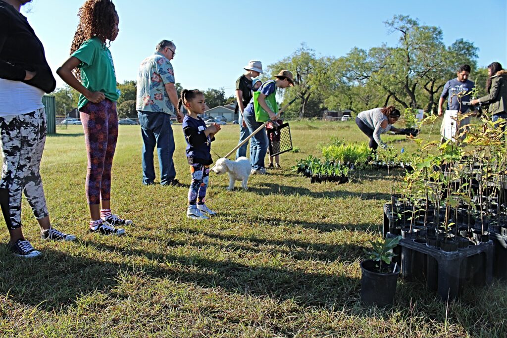 Photo of a large group of people planting trees in a park in Austin, Texas.