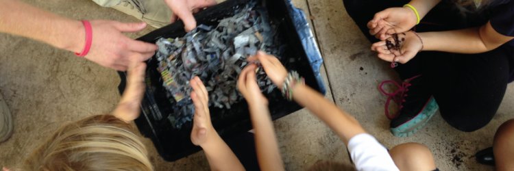 Overhead shot of a group of children leaning in to look inside of a compost bin.